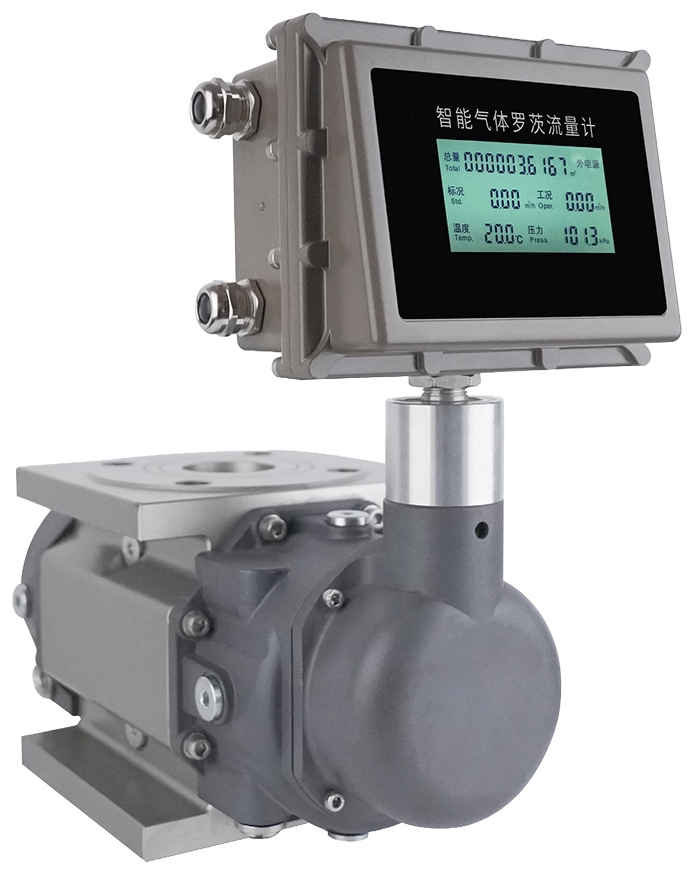 防爆羅茨流量計(jì)產(chǎn)品圖片